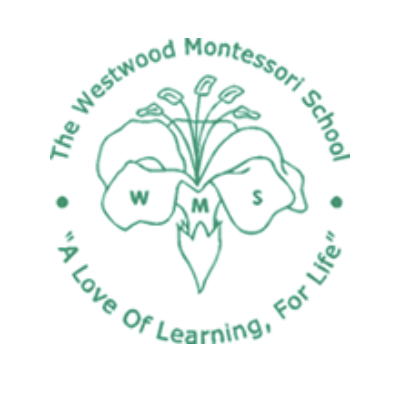 Westwood Preschool Photographer